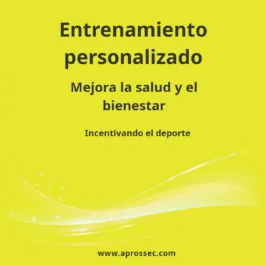 Entrenamiento personalizado